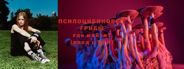 прущие крисы Абаза