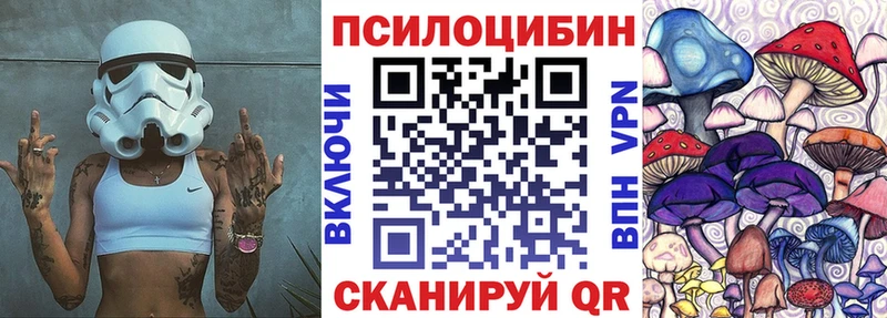 сколько стоит  Балаково  Псилоцибиновые грибы мицелий 