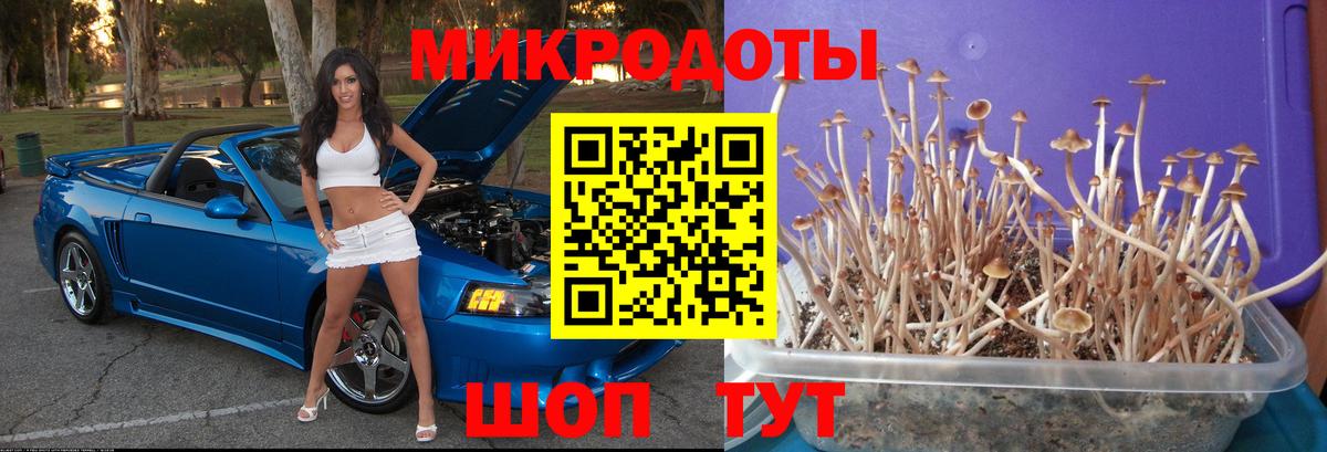 Балаково  купить  цена  Вход с VPN  Псилоцибиновые грибы Cubensis 